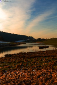 Sielmannweiher Bonndorf-Walpertsweiler 2