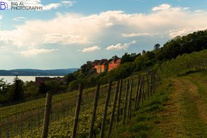 Meersburg-mit-Weinbergen